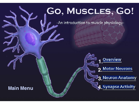 Go, Muscles, Go! 