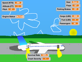 Passenger jet flyer (cool version)