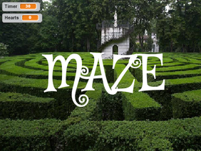 Maze (School Work)