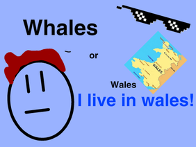 Whales or Wales 