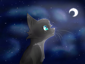 \\ 4 Commissions + Cinderpelt //