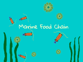Marine Food Chain