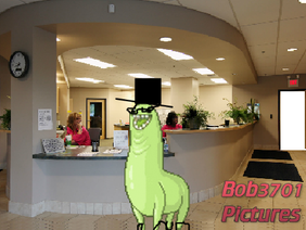Bob The Bunchie Episode 6: Bob At The Doctor 