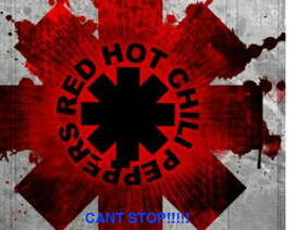 Cant Stop By The Red Hot Chilli Peppers