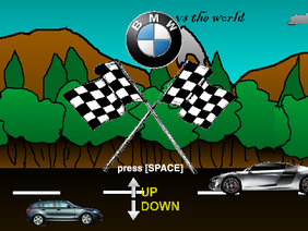 BMW vs The World