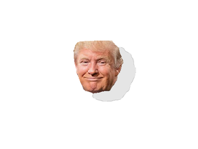 Virtual Donald Trump Spinner!