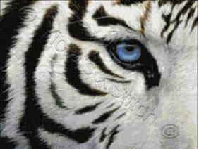 Music Eye Of The Tiger
