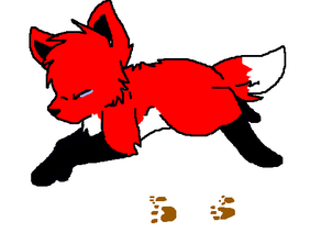 Fox RunCycle