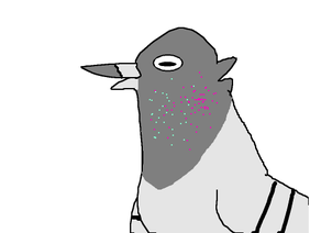 click the pigeon
