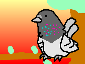 pigeon fanart