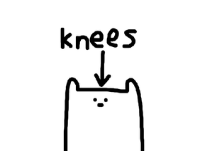 Knees