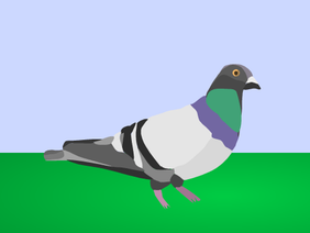 Pigeon Blockshade