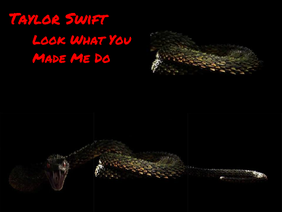 Taylor Swift! Look What You Made Me Do remix