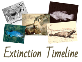 Extinction Timeline
