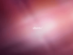 Ubuntu remix 