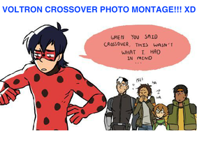 **Voltron Crossover Photo Montage!!! XD**