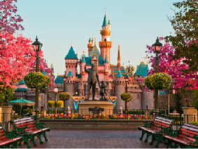 Disneyland Tour