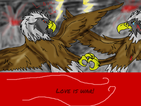 Eagles fighting, Love is war!