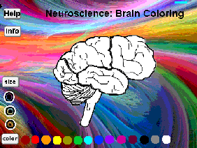 Neuroscience by Yuliya Voskobiynyk