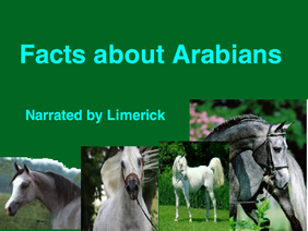 Facts About Arabians