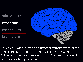 Episode 1: Introduction to the Brain