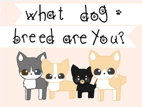 »✩What Dog Breed Are You?✩«