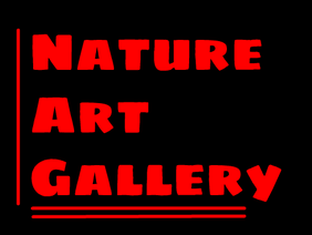 Nature Art Gallery