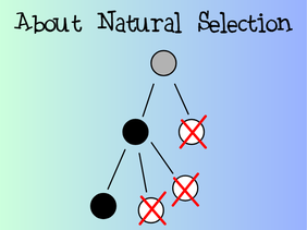 About Natural Selection