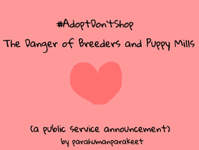 #adoptdontshop - spread love, and the truth