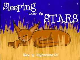 *｡☆✧ Sleeping Under the Stars ✧☆｡*