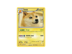 Doge12244444 On Scratch - pokemon roblox doge