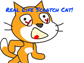 REALLIFE SCATCH CAT