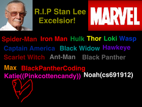 Sign If You Will Always And Forever Miss And Remember Stan Lee remix remix remix