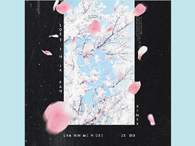 Lost In Japan Remix | Shawn Mendes, Zedd