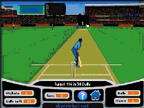 Sky Cricket the game
