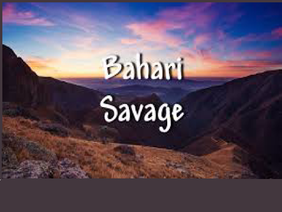 Savage - Bahari remix