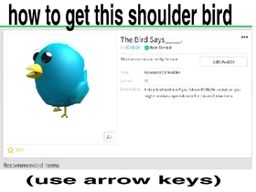 roblox codes bird shoulder