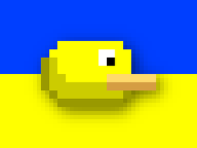 DutchBird in Ukraine