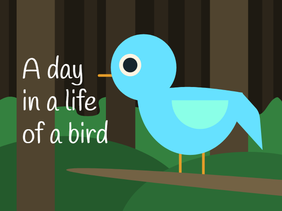 A day in the life of a bird.
