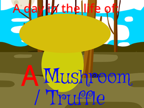 A day in the life of a Mushroom / Truffle.
