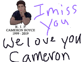Cameron Boyce died at the age of 20 we love you Cameron 