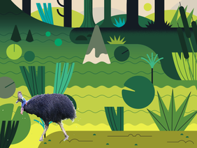 Save the Cassowary