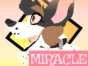 || Miracle