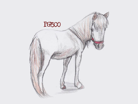 My Miniature Horse drawing :)