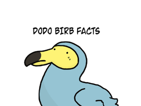 Dodo Birb Facts