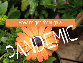 How to get through a pandemic [Mobile Friendly]