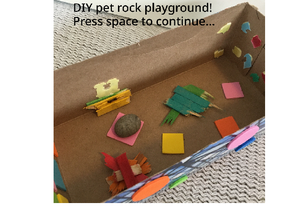 Pet Rock Playground!