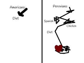 Americans vs. Peruvians diets