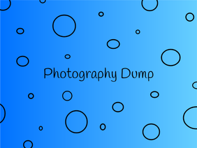 Photography Dump