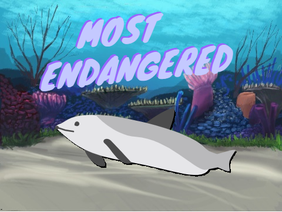 Most Endangered Marine Mammal